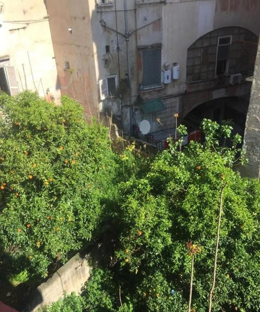 Terrazza Il Miglio Villa Naples Italy